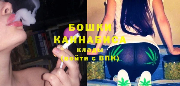 эйфоретик Белая Холуница