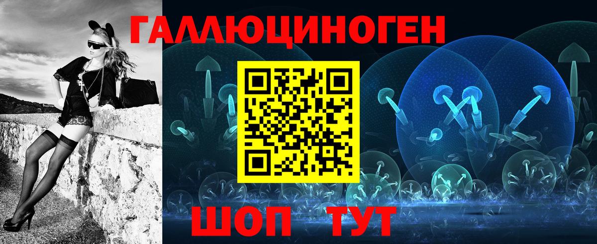 Геленджик  Псилоцибиновые грибы Psilocybine cubensis  Вход с VPN 