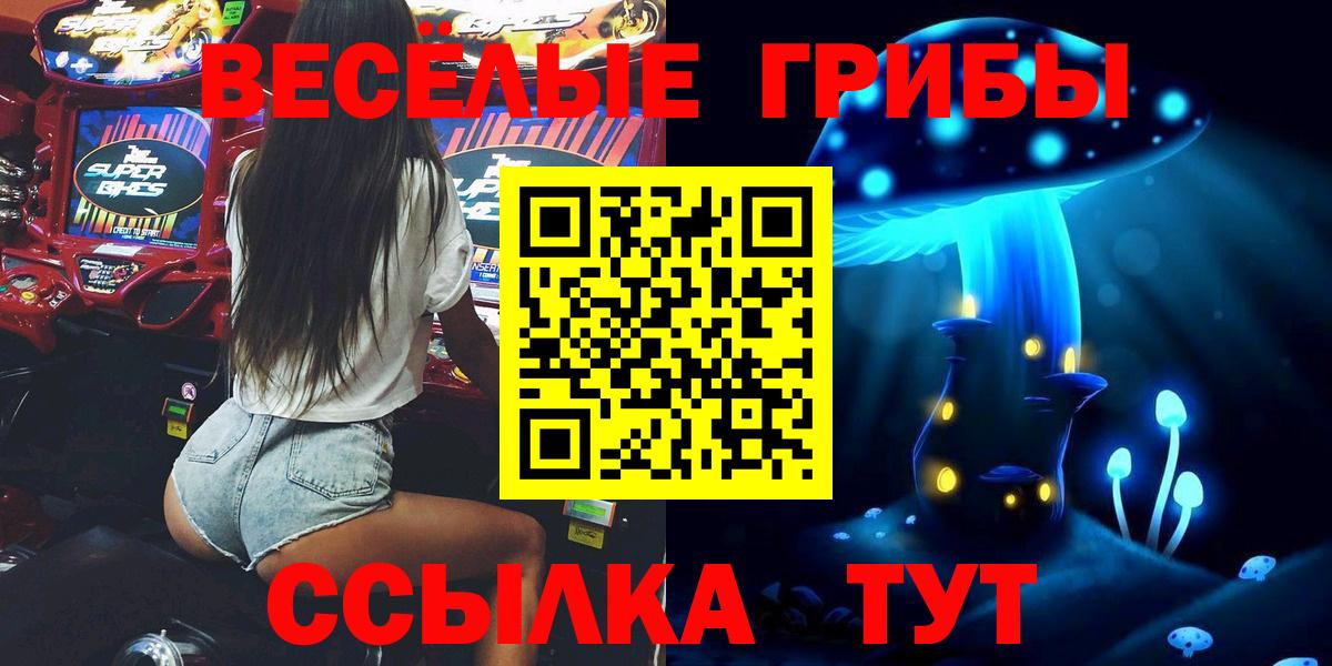 Галлюциногенные грибы Psilocybe Геленджик