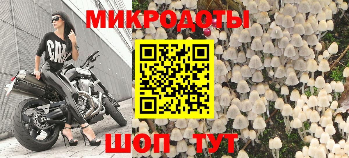 Галлюциногенные грибы прущие грибы  Геленджик 